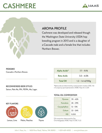 ฮอป ทำเบียร์ Cashmere hops คราฟท์ คอมโพเนนท์