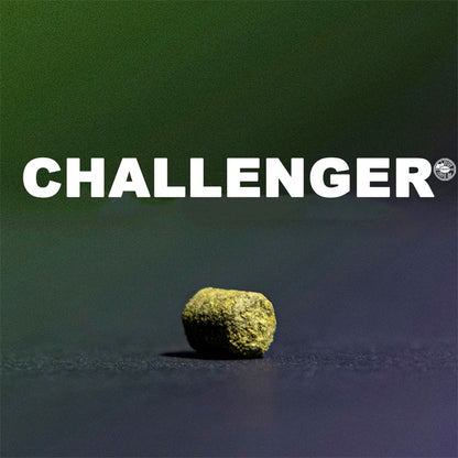 ฮอป ทำเบียร์ Challenger Hops คราฟท์ คอมโพเนนท์