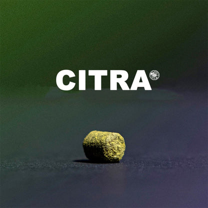 ฮอป ทำเบียร์ citra hops คราฟท์ คอมโพเนนท์