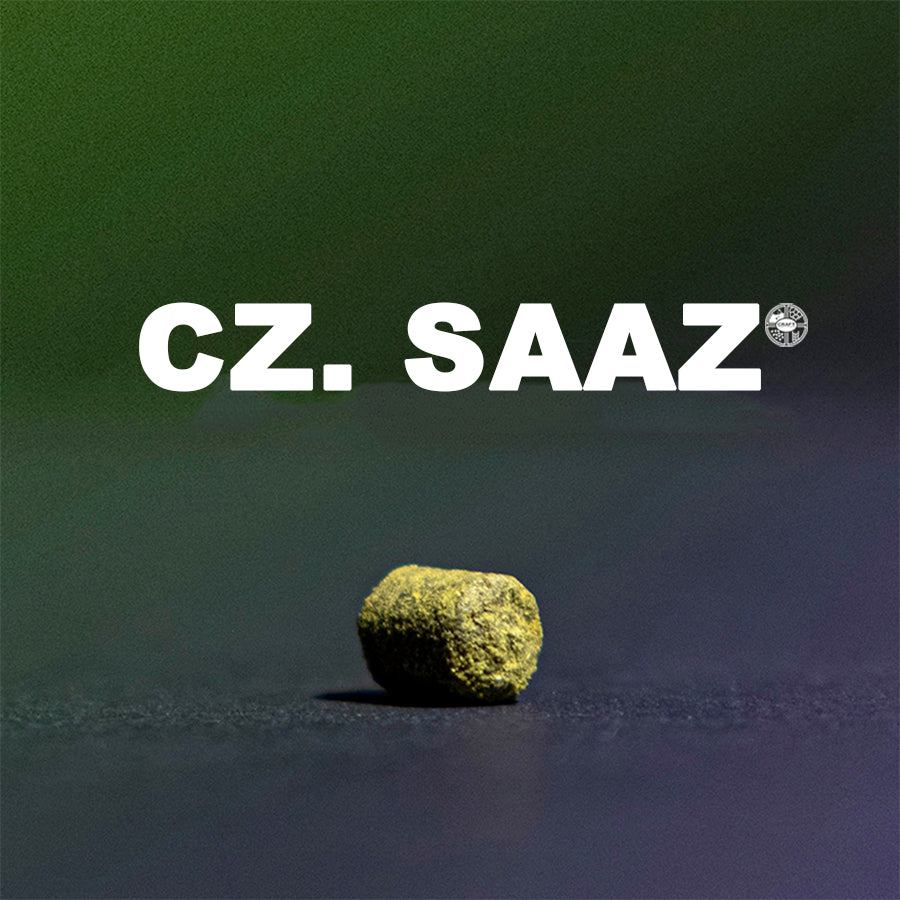 ฮอป ทำเบียร์ Cz. Saaz hops คราฟท์ คอมโพเนนท์ 