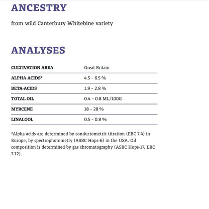 ฮฮป ทำเบียร์ EK Golding hops คราฟท์ คอมโพเนนท์
