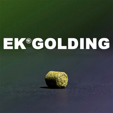 ฮฮป ทำเบียร์ EK Golding hops คราฟท์ คอมโพเนนท์