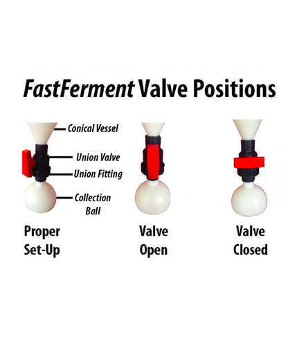 ถังหมัก 30 ลิตร ฟู๊ดเกรด FastFermenter 30L foor grade HDPE