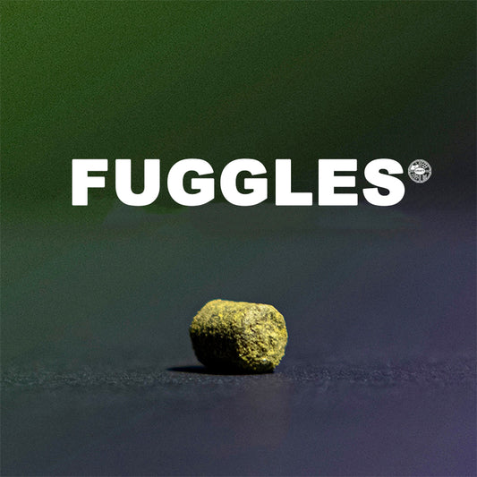 ฮอป ทำเบียร์ Fuggle hops คราฟท์ คอมโพเนนท์