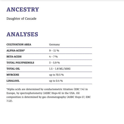 ฮอป ทำเบียร์ hallertua blanc hops คราฟท์ คอมโพเนนท์