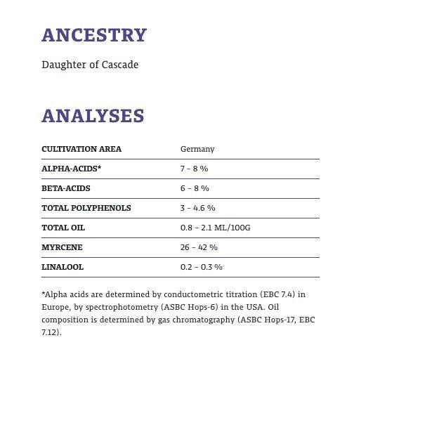 ฮอป ทำเบียร์ Hallertau Melon Hops คราฟท์ คอมโพเนนท์