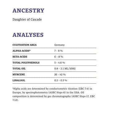 ฮอป ทำเบียร์ Hallertau Melon Hops คราฟท์ คอมโพเนนท์