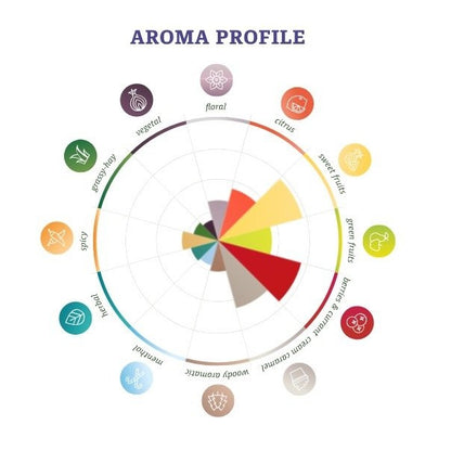 ฮอป ทำเบียร์ Hallertau Melon Hops คราฟท์ คอมโพเนนท์