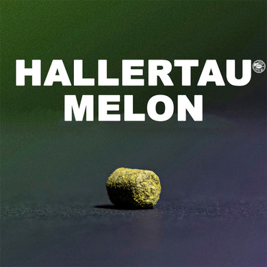 ฮอป ทำเบียร์ Hallertau Melon Hops คราฟท์ คอมโพเนนท์