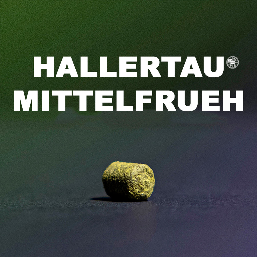 ฮอป ทำเบียร์ Mittelfrueh คราฟท์ คอมโพเนนท์