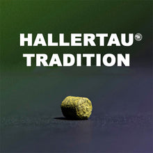 Load image into Gallery viewer, ฮฮป ทำเบียร์ Hallertau Tradition hops คราฟท์ คอมโพเนนท์

