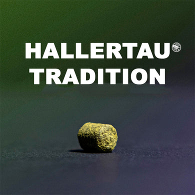 ฮฮป ทำเบียร์ Hallertau Tradition hops คราฟท์ คอมโพเนนท์
