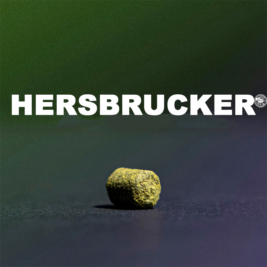 ฮอป ทำเบียร์ Hersbrucker Hops คราฟท์ คอมโพเนนท์