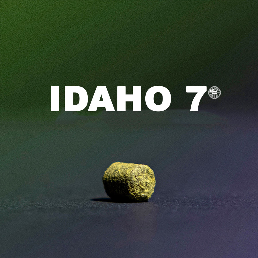 ฮอป ทำเบียร์ Idaho 7 hops คราฟท์ คอมโพเนนท์