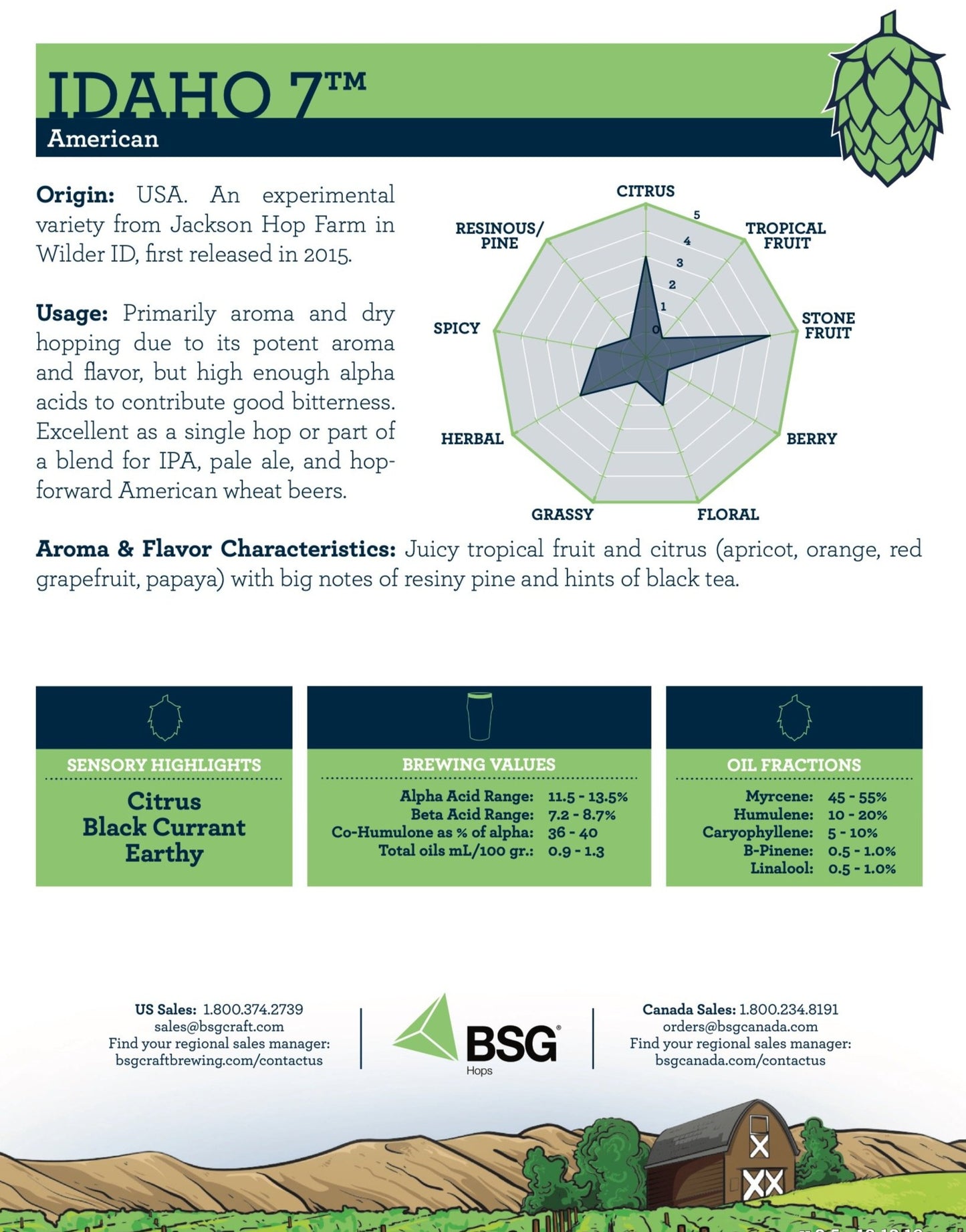 ฮอป ทำเบียร์ Idaho 7 hops คราฟท์ คอมโพเนนท์