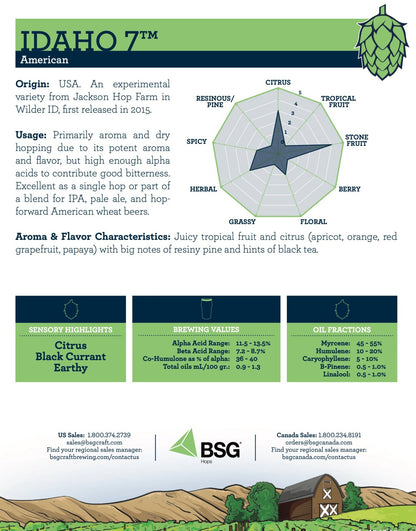 ฮอป ทำเบียร์ Idaho 7 hops คราฟท์ คอมโพเนนท์