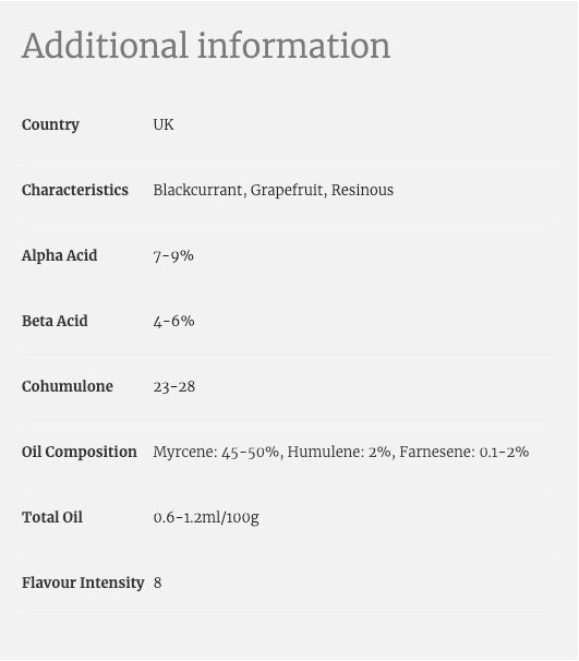 ฮอป ทำเบียร์ Jester hops คราฟท์ คอมโพเนนท์