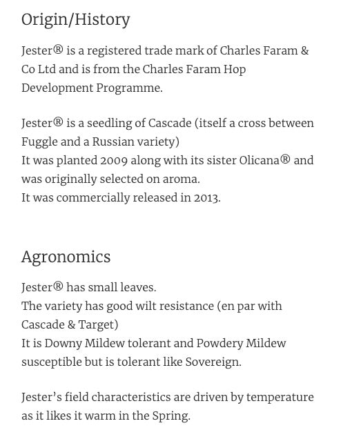 ฮอป ทำเบียร์ Jester hops คราฟท์ คอมโพเนนท์