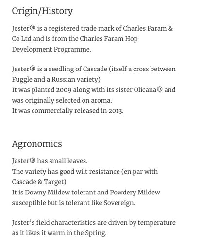 ฮอป ทำเบียร์ Jester hops คราฟท์ คอมโพเนนท์