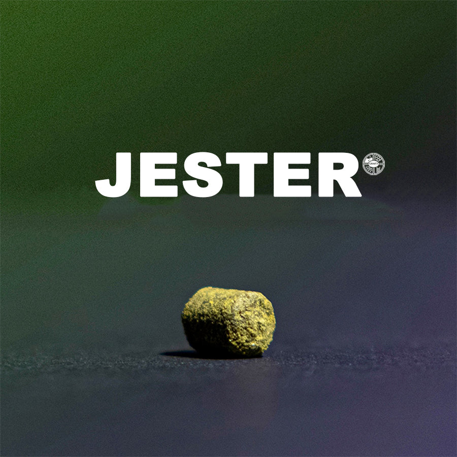 ฮอป ทำเบียร์ Jester hops คราฟท์ คอมโพเนนท์