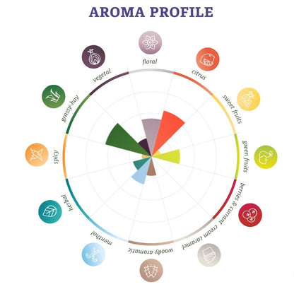 ฮฮป ทำเบียร์ Magnum Hops คราฟท์ คอมโพเนนท์