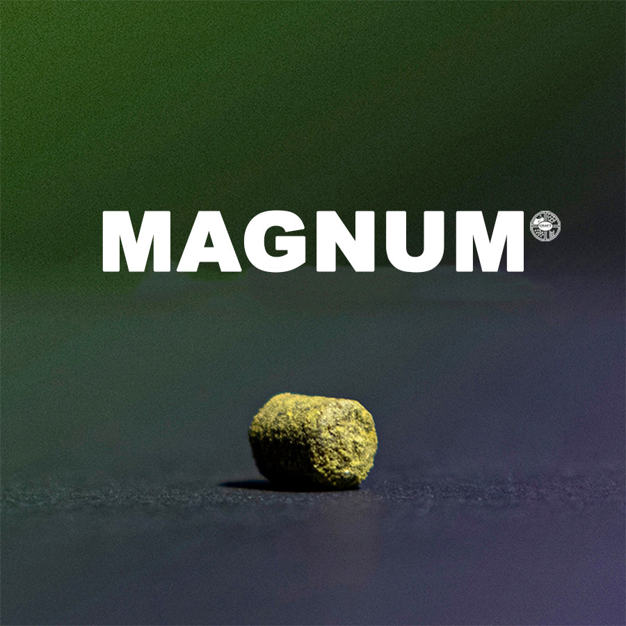 ฮฮป ทำเบียร์ Magnum Hops คราฟท์ คอมโพเนนท์