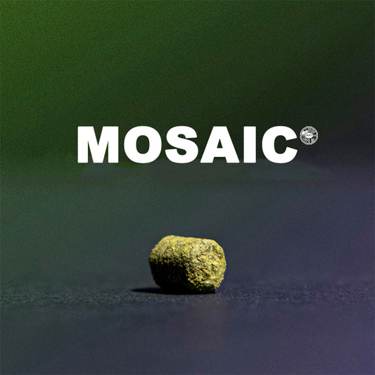 ฮอป ทำเบียร์ mosaic hops คราฟท์ คอมโพเนนท์