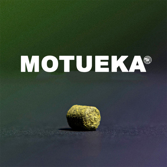 ฮอป ทำเบียร์ Motueka hops คราฟท์ คอมโพเนนท์