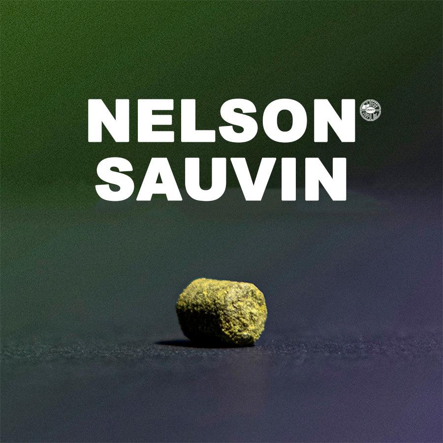 ฮอปส์ ทำเบียร์ nelson sauvin hops คราฟท์ คอมโพเนนท์