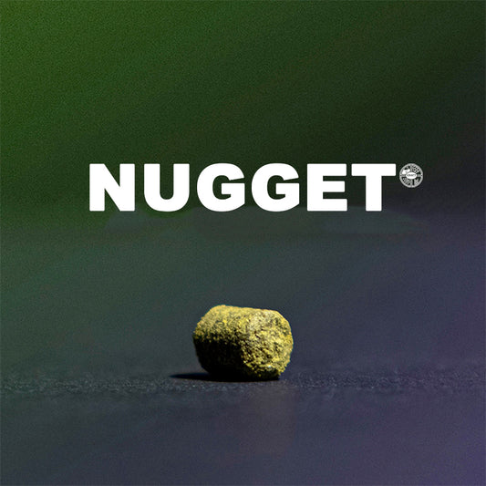 ฮอป ทำเบียร์ Nugget Hops คราฟท์ คอมโพเนนท์ 
