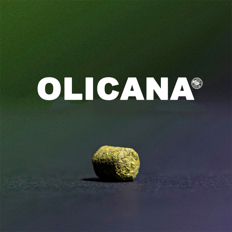 ฮอป ทำเบียร์ Olicana hops คราฟท์ คอมโพเนนท์