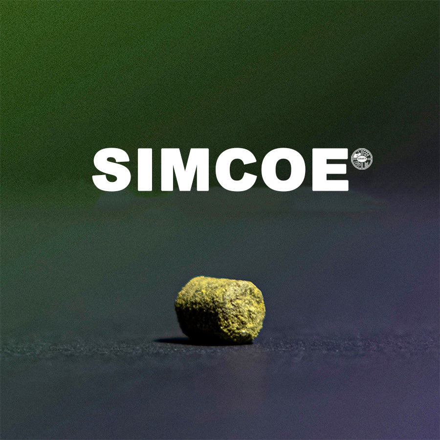 ฮอป ทำเบียร์ Simcoe Hops | ทำเบียร์ คราฟท์ คอมโพเนนท์ Craft Components