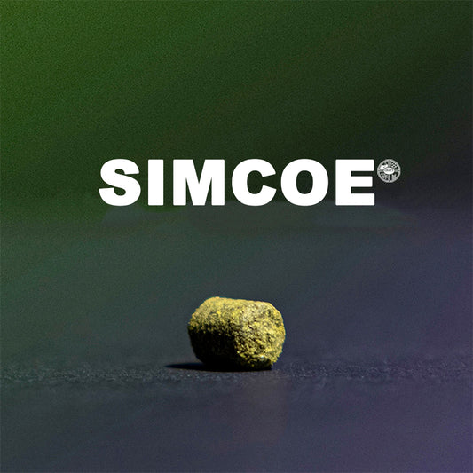 ฮอป ทำเบียร์ Simcoe hops คราฟท์ คอมโพเนนท์