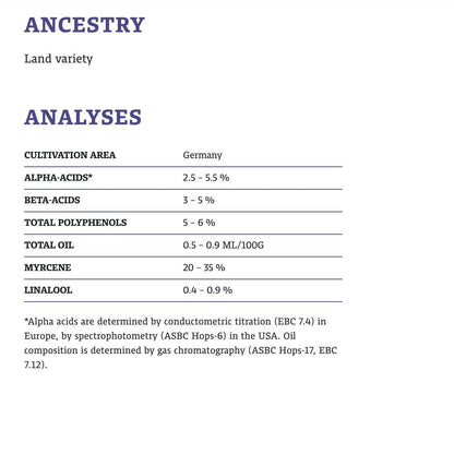 ฮอป ทำเบียร์ Tettnanger Hops คราฟท์ คอมโพเนนท์