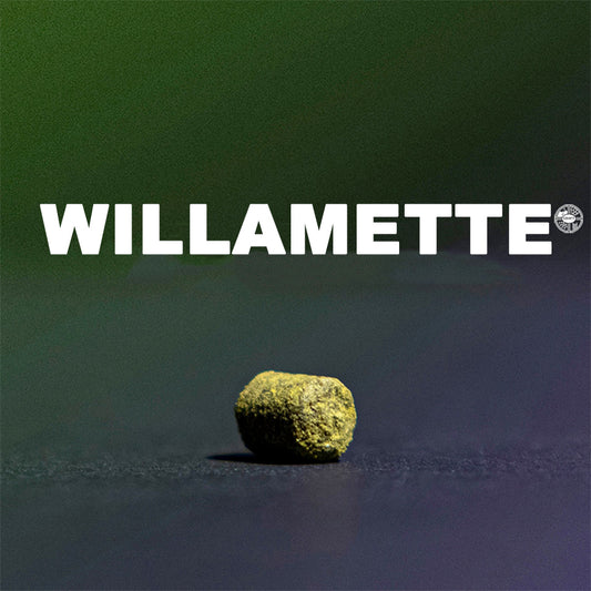 ฮอป ทำเบียร์ Willamette Hops คราฟท์ คอมโพเนนท์