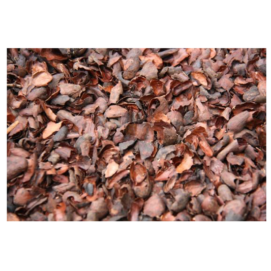 Cocao Husks (500 gm) - เปลือกโกโก้