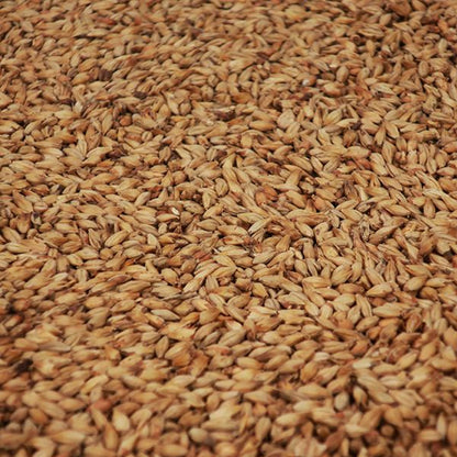 อโรมมอลต์ ทำเบียร์ โฮมบริว homebrew arome malt