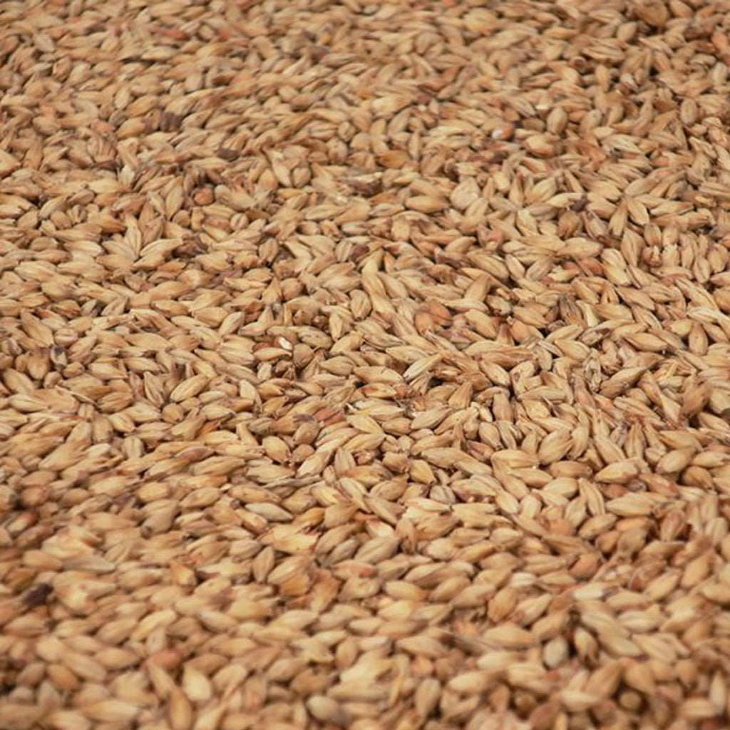 บิสกิตท์มอลต์ ทำเบียร์ โฮมบริว homebrew biscuit malt