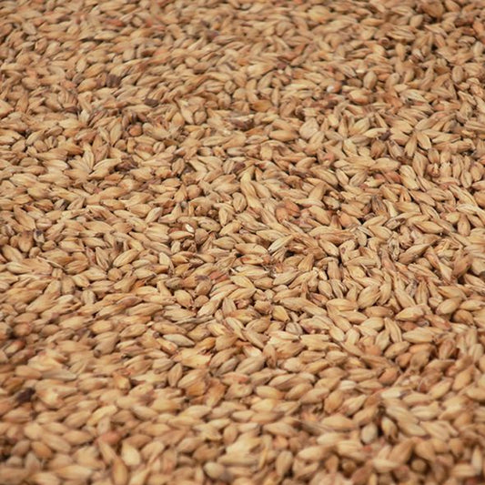 บิสกิตท์มอลต์ ทำเบียร์ โฮมบริว homebrew biscuit malt