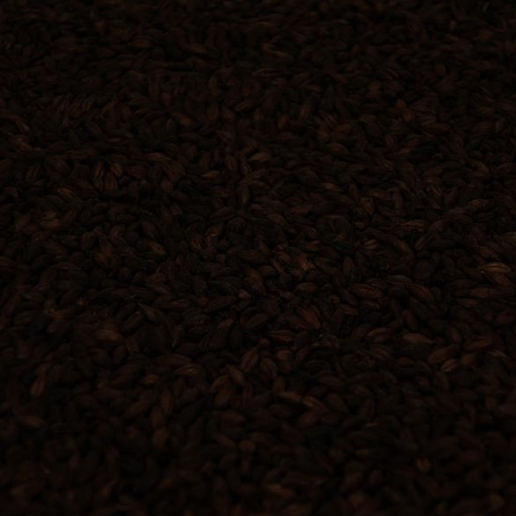 แบล็คมอลต์ ทำเบียร์ โฮมบริว homebrew black malt