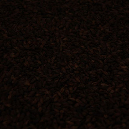 แบล็คมอลต์ ทำเบียร์ โฮมบริว homebrew black malt