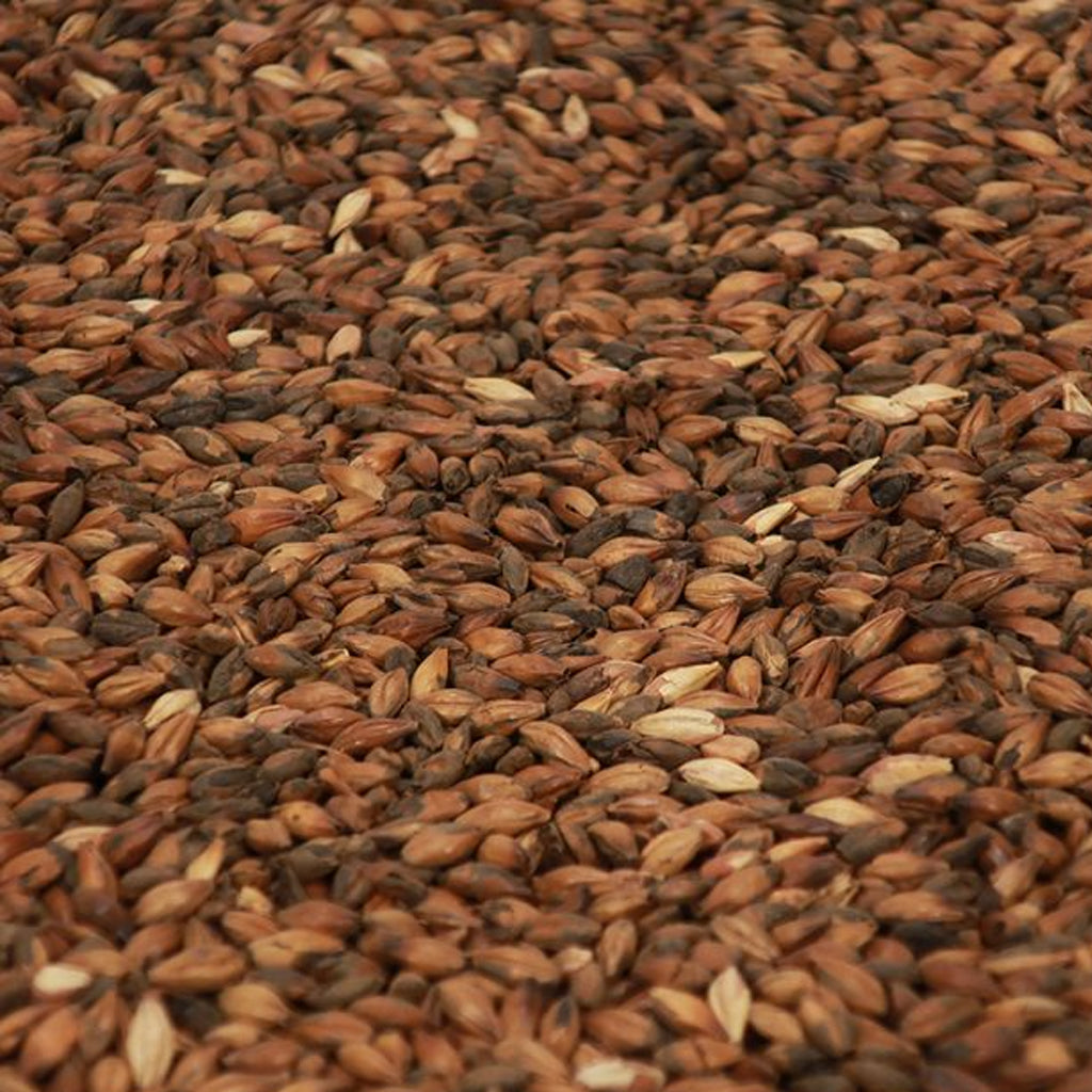 คาเฟ่ย์มอลต์ ทำเบียร์ โฮมบริว homebrew cafe malt