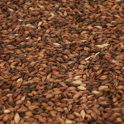 คาเฟ่ย์มอลต์ ทำเบียร์ โฮมบริว homebrew cafe malt