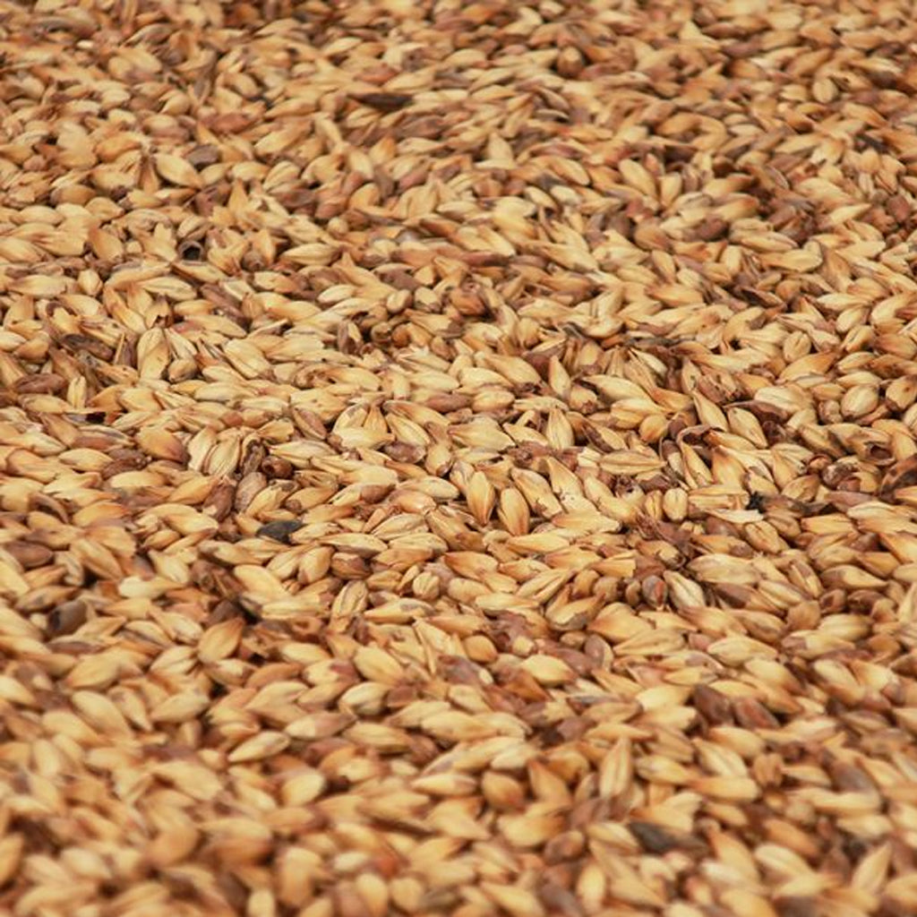 คาราบลอนด์มอลต์ ทำเบียร์ โฮมบริว homebrew cara blond malt