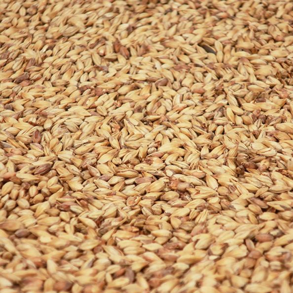 คาราแคลร์มอลต์ ทำเบียร์ โฮมบริว homebrew cara clair malt