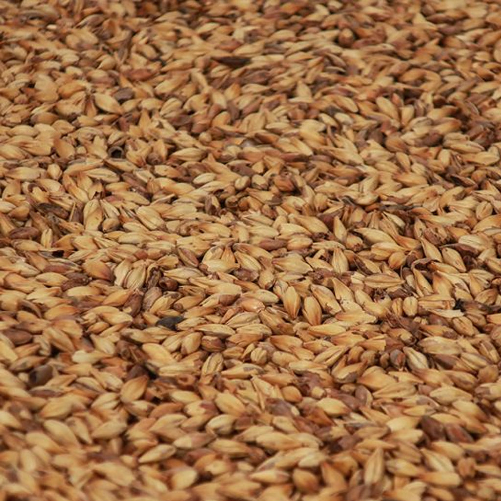 คาราโกลมอลต์ ทำเบียร์ โฮมบริว homebrew cara gold malt