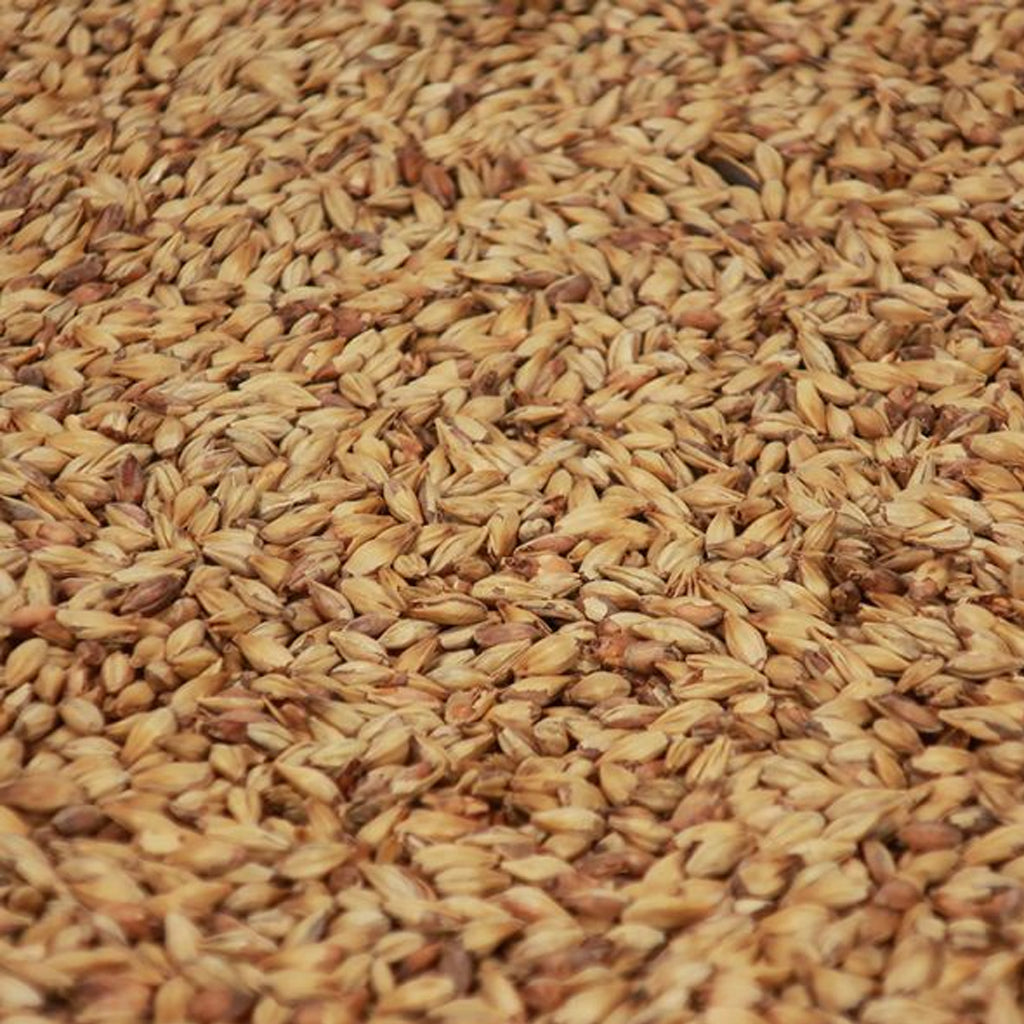 คารารูบี้มอลต์ ทำเบียร์ โฮมบริว homebrew cara ruby malt