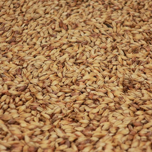 คารารูบี้มอลต์ ทำเบียร์ โฮมบริว homebrew cara ruby malt