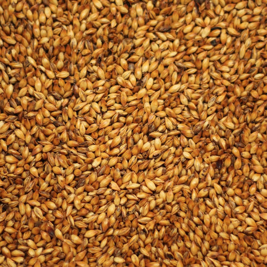 คริสตัลมอลต์ ทำเบียร์ โฮมบริว homebrew crystal malt