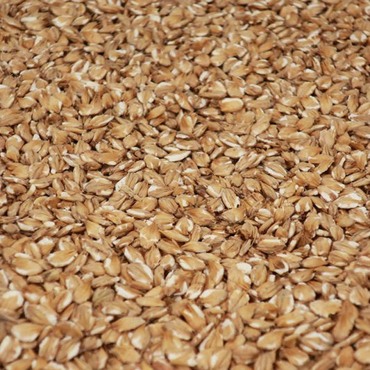 เฟลคบาร์เลย์ ทำเบียร์ โฮมบริว homebrew flaked barley malt